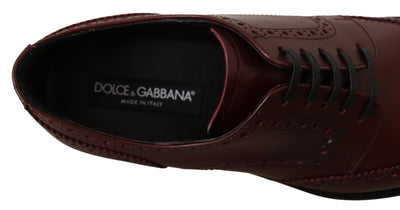 Dolce & Gabbana Bordeaux Leather Oxford Wingtip Formal Shoes