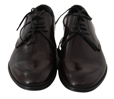 Dolce & Gabbana Brown Leather Dress Derby Formal Mens Shoes