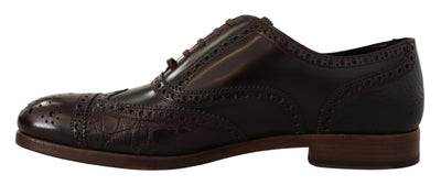 Dolce & Gabbana Brown Leather Brogue Wing Tip Dress  Shoes