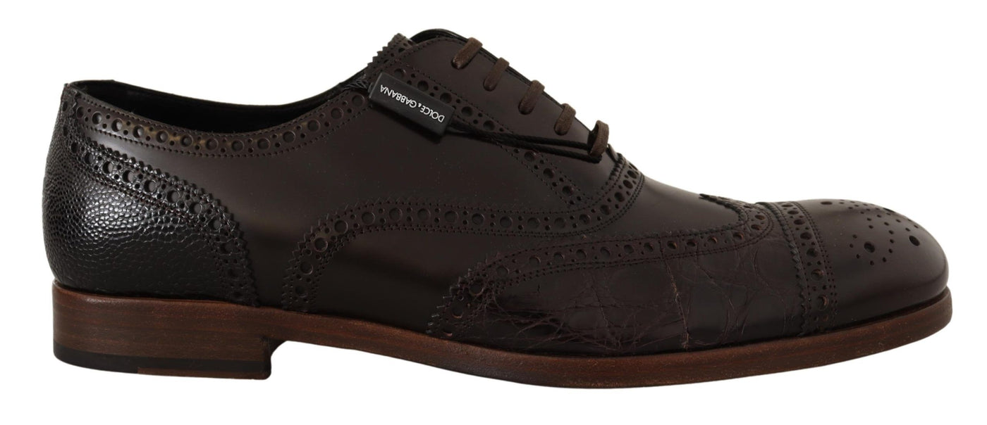 Dolce & Gabbana Brown Leather Brogue Wing Tip Dress  Shoes