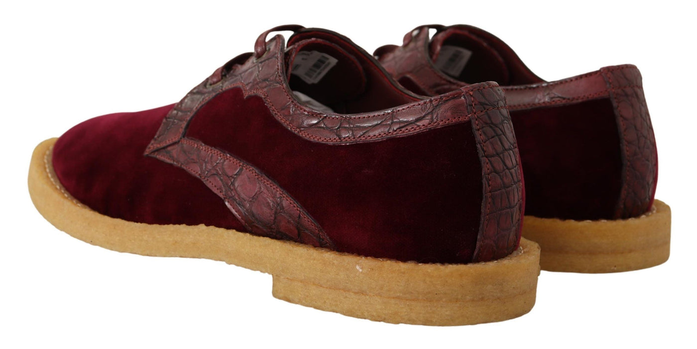Dolce & Gabbana Bordeaux Velvet Exotic Leather Shoes