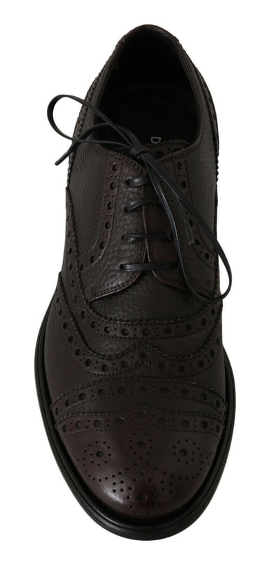 Dolce & Gabbana Brown Leather Wingtip Derby Formal Shoes